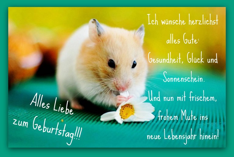 wünsche zum geburtstag nomen