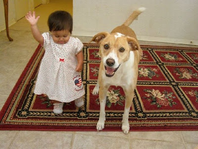animals and children