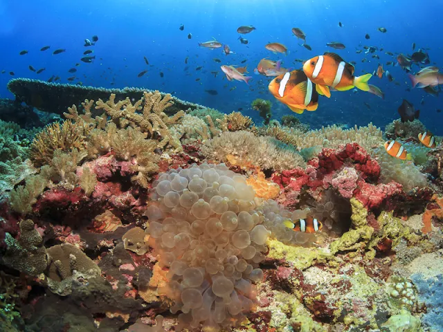 Gili Air Lombok : Daya Tarik  dan Keindahan Wisata Pulau Mungil