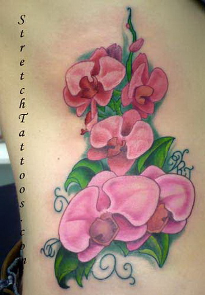 orchid tattoos. The Orchids tattoos