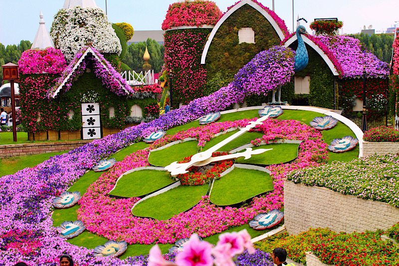 Miracle Garden in Dubai