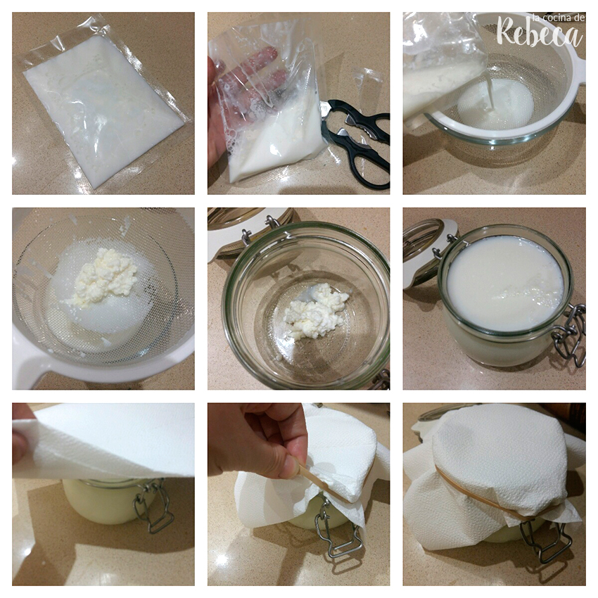 Cómo hacer kéfir de leche 🥛