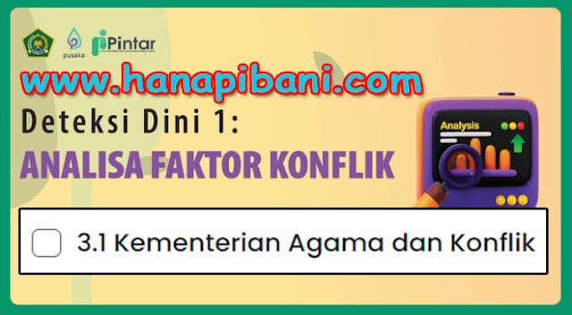 hanapibani.com