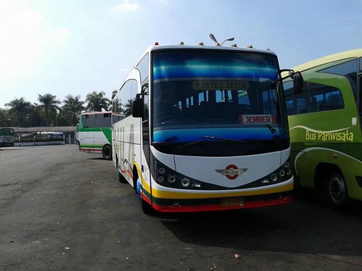 Bus Patas Mila Sejahtera Marcopolo Malang Probolinggo 