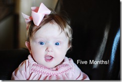 Five Months