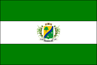 Bandeira de Ninheira - MG