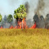 Incêndio atinge três quilômetros de vegetação no Bairro Floriópolis em Parnaíba