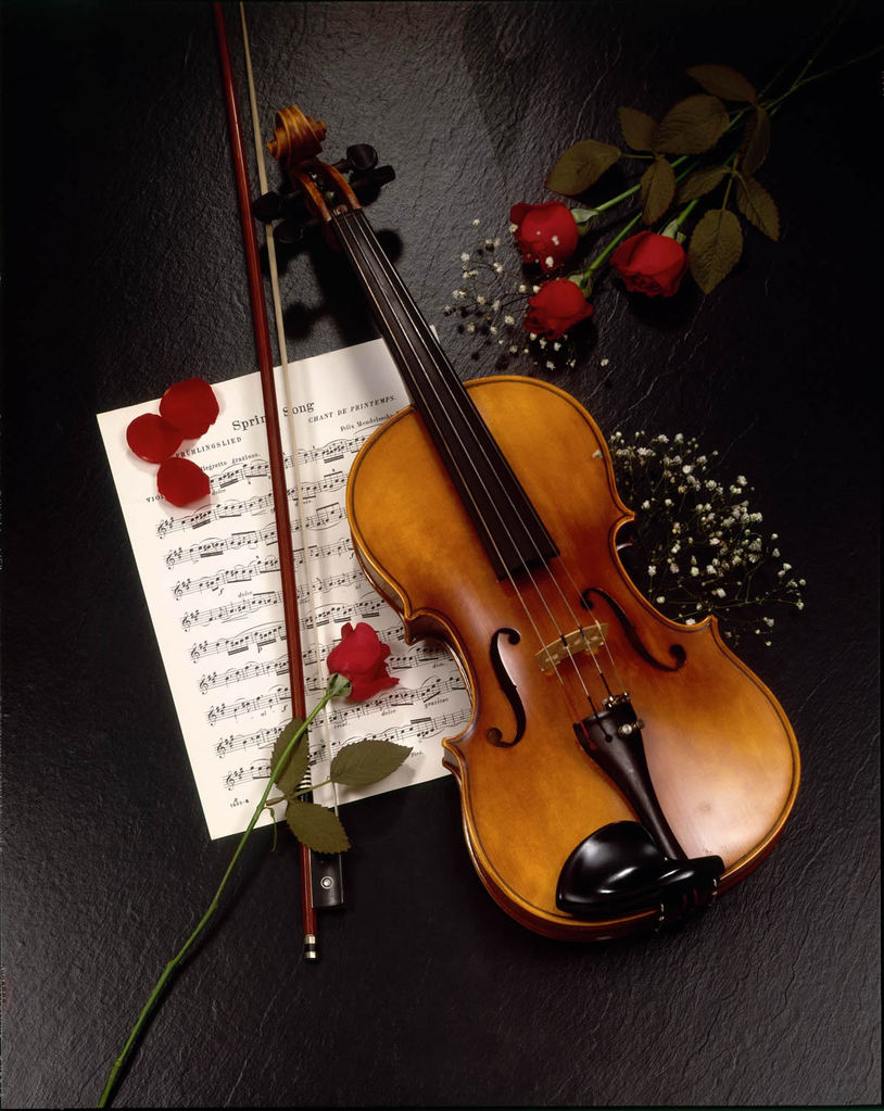 El Violin