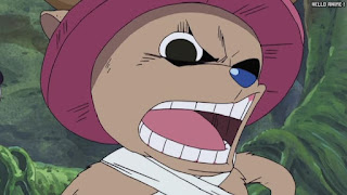 ワンピース アニメ 空島 スカイピア 166話 チョッパー Tony Tony Chopper | ONE PIECE Episode 166 Skypiea