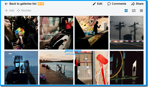 flickrgallery04