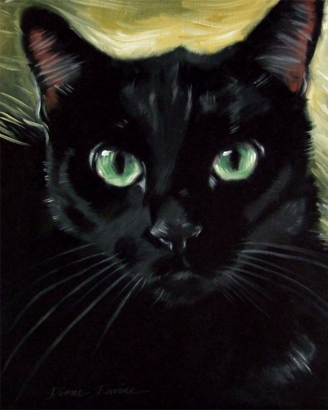 Paintings From the Parlor Custom Cat Portrait Oil 