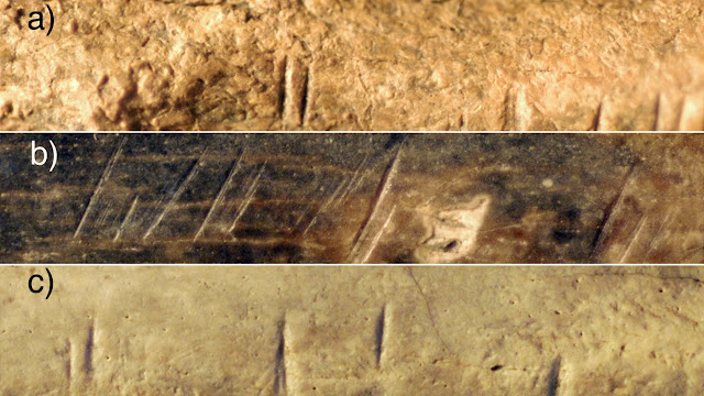 Τα σημάδια στην απολιθωμένη ανθρώπινη κνήμη που μελέτησε η ερευνητική ομάδα ήταν παρόμοια με εκείνα που βρέθηκαν σε απολιθωμένα οστά ζώων που βρέθηκαν στην ίδια περιοχή και στον ίδιο χρονικό ορίζοντα. Οι φωτογραφίες δείχνουν (α) μια γνάθο αντιλόπης, (β) το κάτω μπροστινό οστό του ποδιού μιας αντιλόπης και (γ) μια ωμοπλάτη μεγάλου θηλαστικού. [Credit: Briana Pobiner]