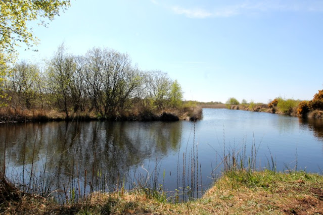 Ballinafagh Lake Prosperous