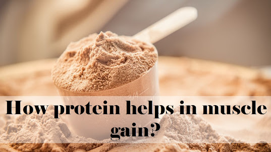 How protein helps in muscle gain ? | Protein Importance in Muscle growth