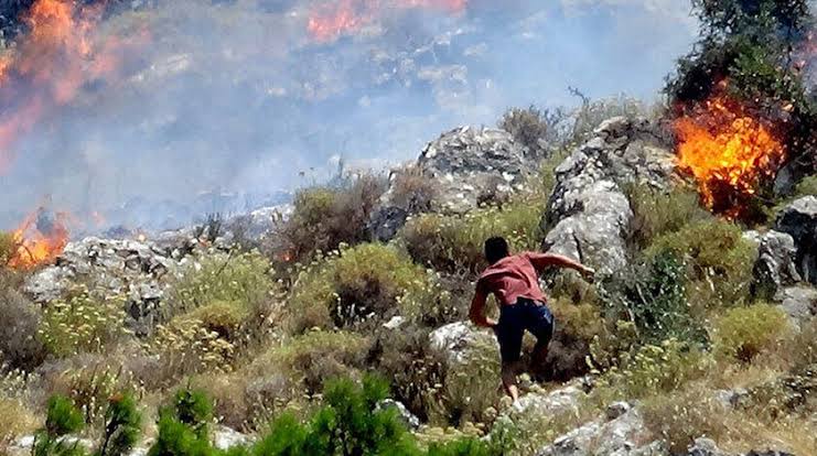 Balıkesir Havran'da korkutan orman yangını