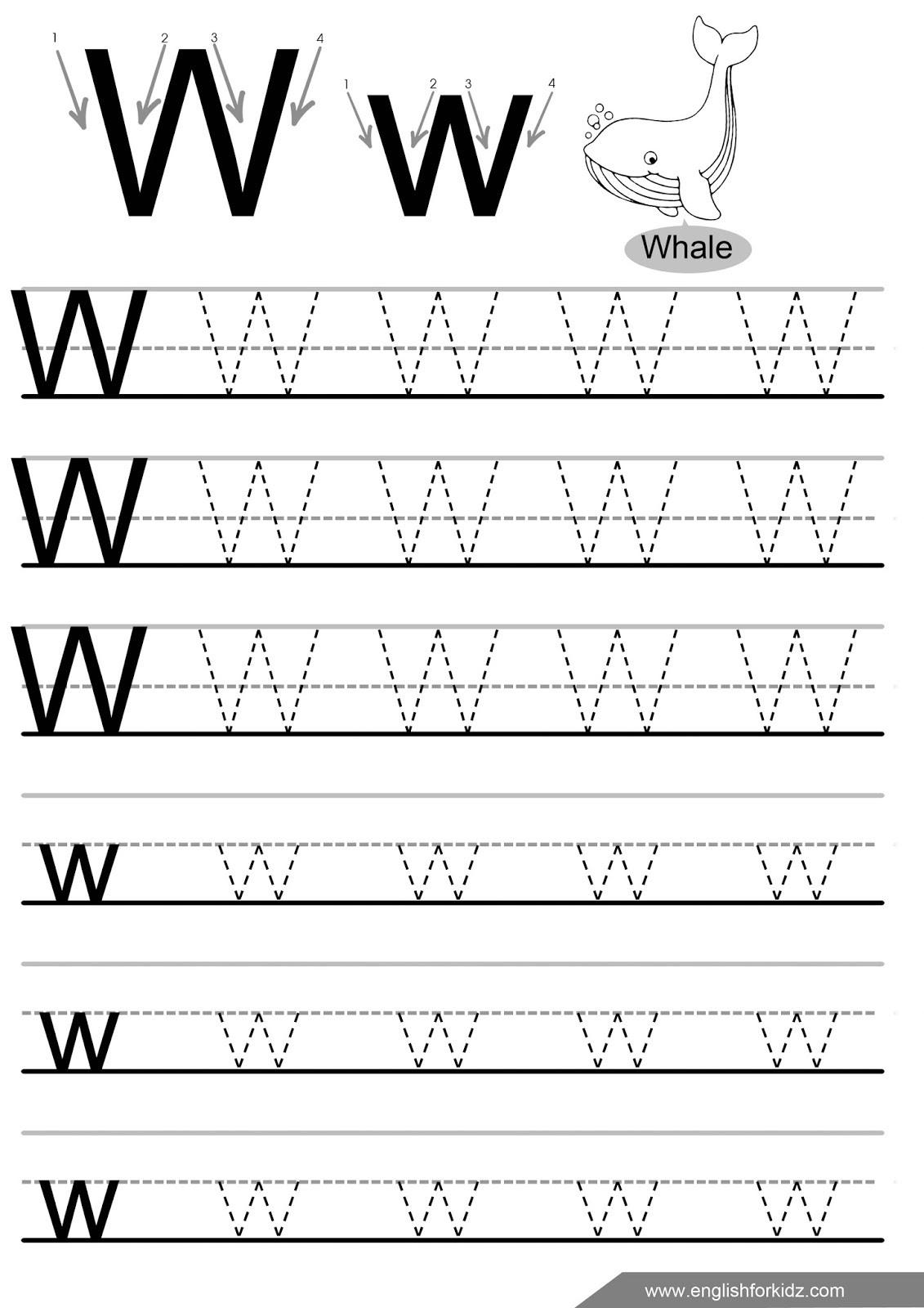 letter w worksheets flash cards coloring pages