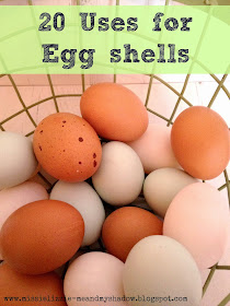 20 alternative uses for egg shells