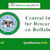 Central Inst for Research on Buffaloes