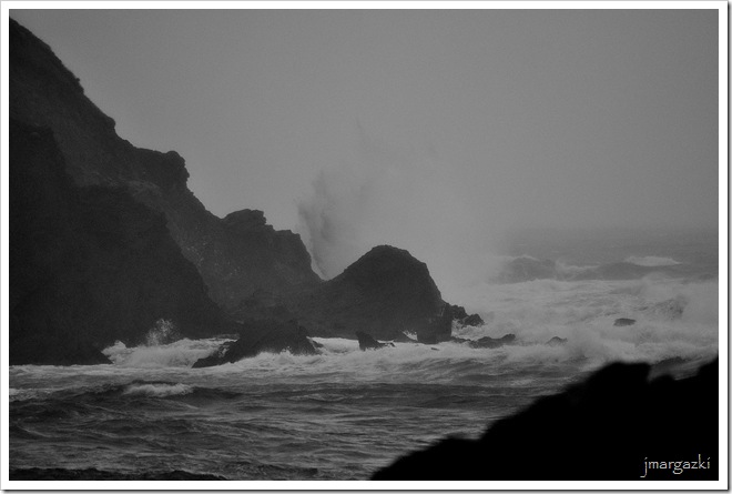 DSC_6467
