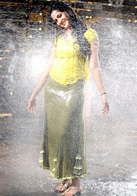 Anushka Hot Wet in Yellow Dress Photos