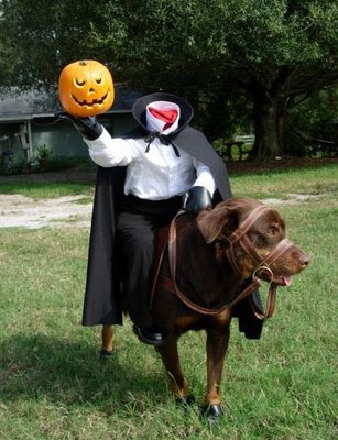 disfraces de halloween para perros jinete sin cabeza