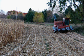 how much field corn do we really need?