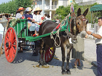 CAFÉ PORTUGAL - Campo Maior - 2 Setembro 2007