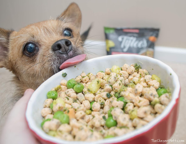 Mini Review: Tylee's Human-Grade Frozen Dog Food