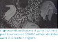 http://sciencythoughts.blogspot.co.uk/2015/08/cryptosporidium-discovery-at-water.html