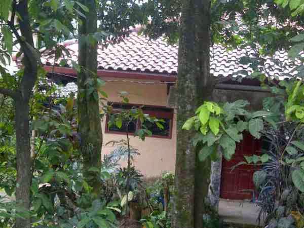 DataRumah: Dijual Rumah Strategis di Pamoyanan, Bogor PR762
