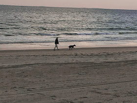 walking dog at beach