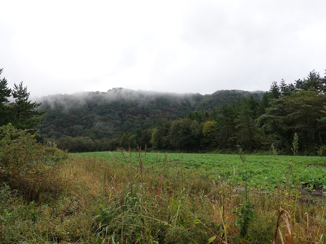 鳥取県西伯郡大山町豊房 香取の農道からの眺め