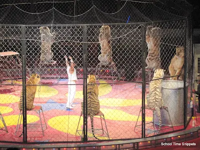 circus