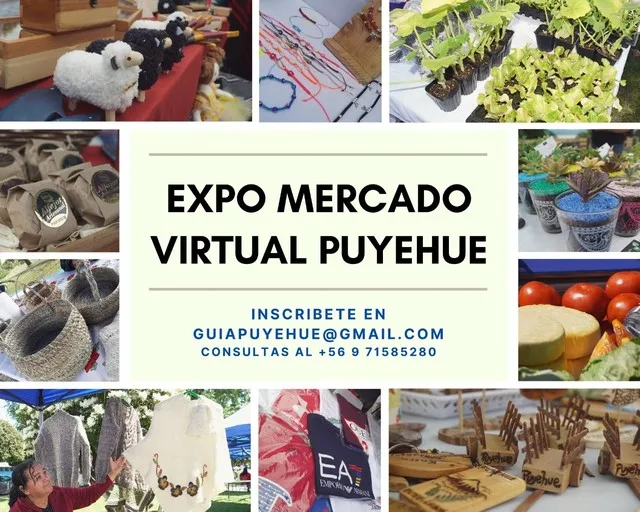 Expo mercado virtual Puyehue 2021