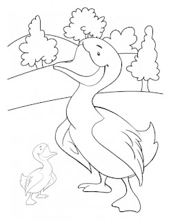 Buffalo Coloring Pages