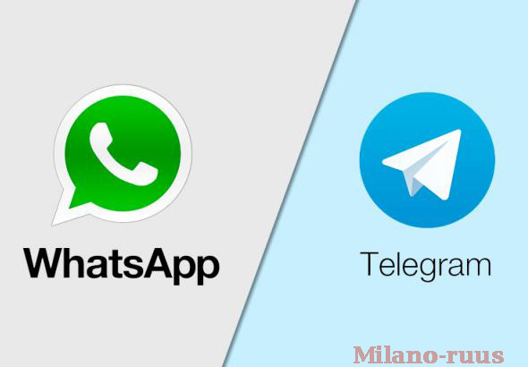 Perbedaan Telegram dan WhatsApp yang Wajib Anda Ketahui