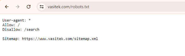 custom robots.txt