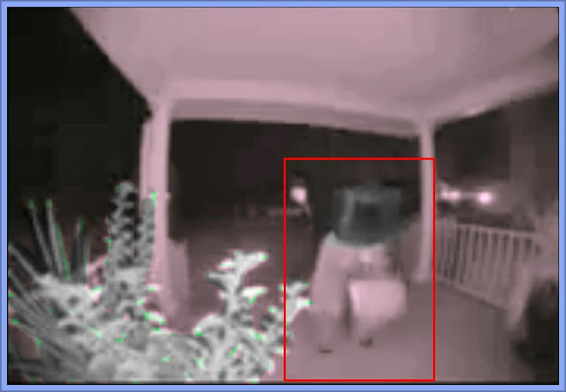 The Suspect Dubbed 'TV Head' Was Caught On Doorbell Cam's
