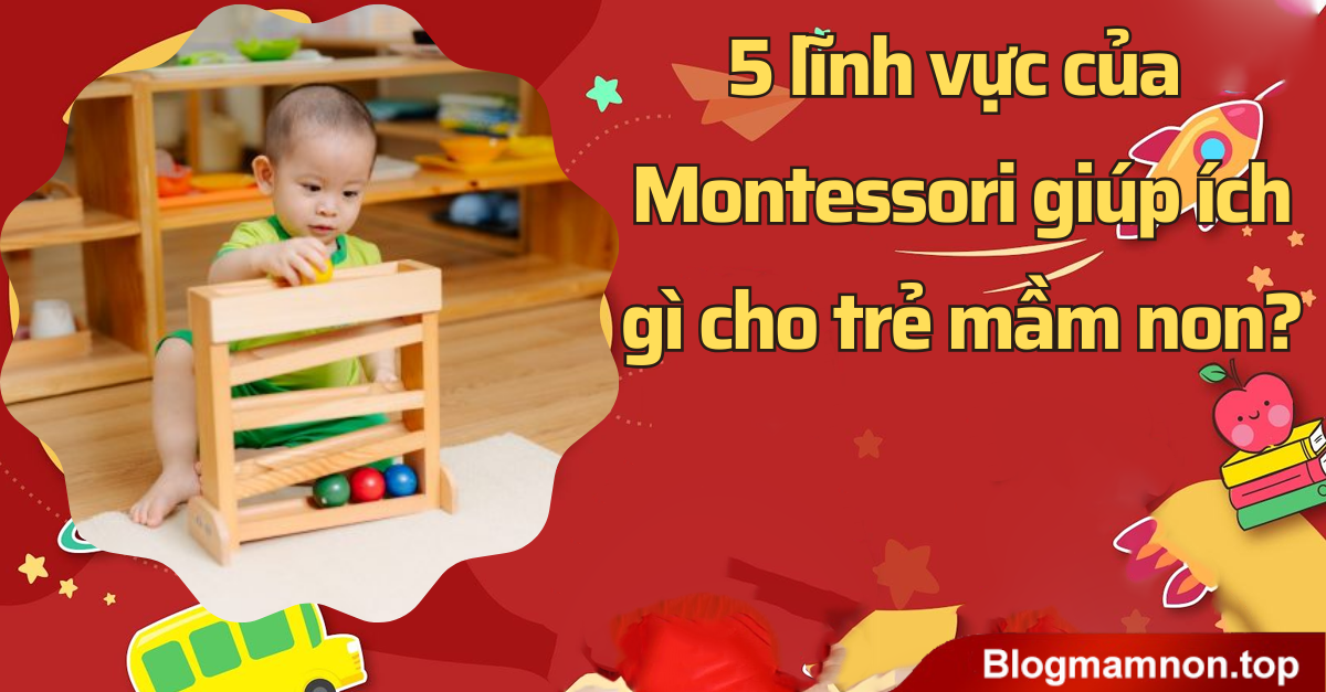5 lĩnh vực của Montessori giúp ích gì cho trẻ mầm non?