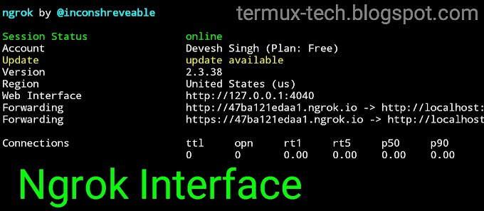 How can Install Ngrok Server on Termux