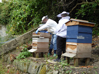 Unstacking the hive