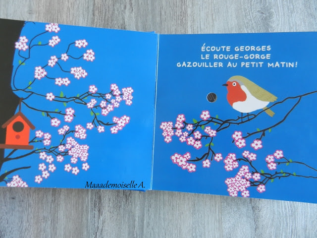 || Mes oiseaux (Présentation & Avis)(Chut, les enfants lisent # 66)