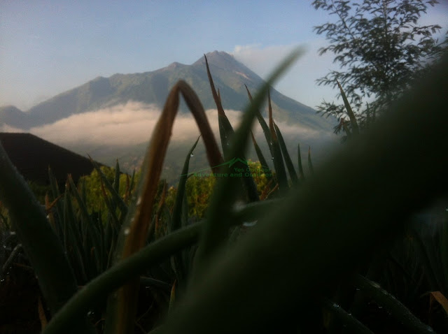 Pendakian gunung Merbabu