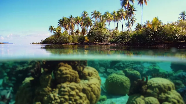 Paisagem Mar, Praia e Céu Azul