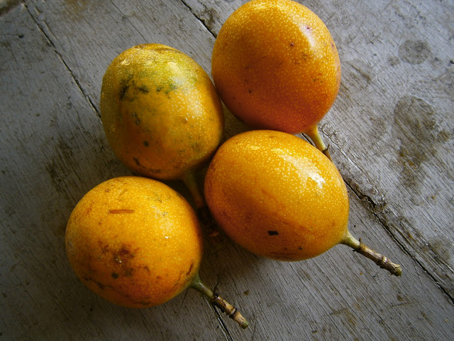 granadilla fruta