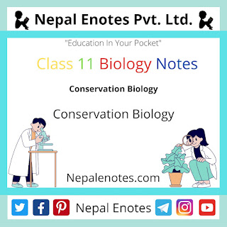 Class 11 Biology Conservation Biology Notes