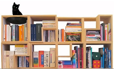 cat-friendly modular bookcase