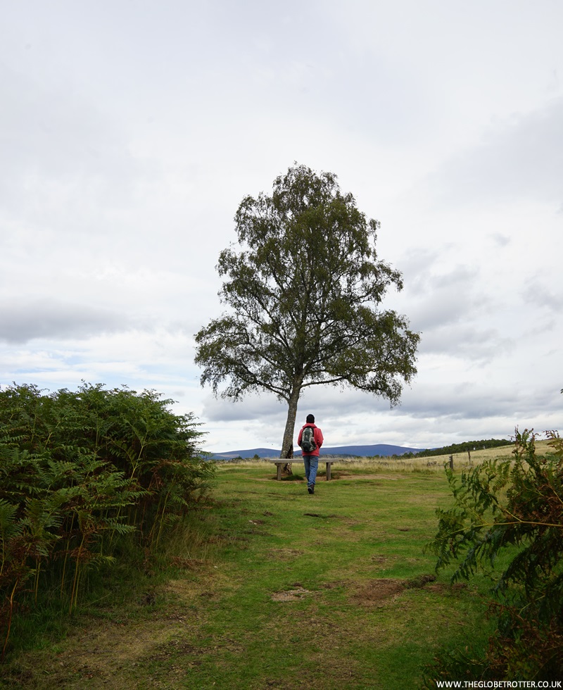 Loch Kinord Trail