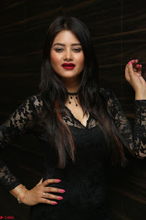 Actress Monica in spicy transparent Black Top at O Pilla Nee Valla Movie Audio Launch Feb 2017 049.JPG