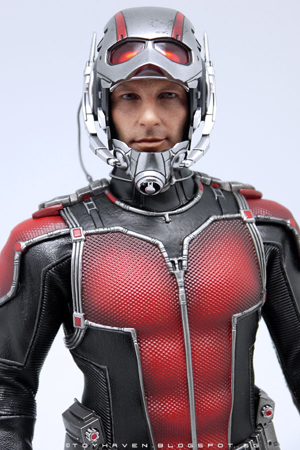 review ii hot toys 16th ant man 12